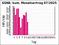GSNE: kum. Monatsertrag 07/2025