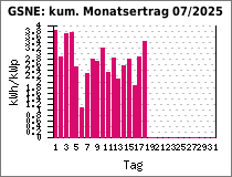 GSNE: kum. Monatsertrag 07/2025