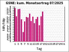 GSNE: kum. Monatsertrag 07/2025