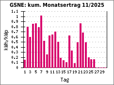GSNE: kum. Monatsertrag 11/2025